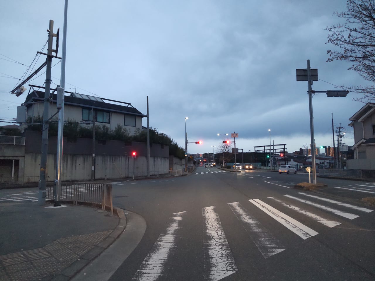 大阪いずみ市民生活共同組合　野々井店　新店