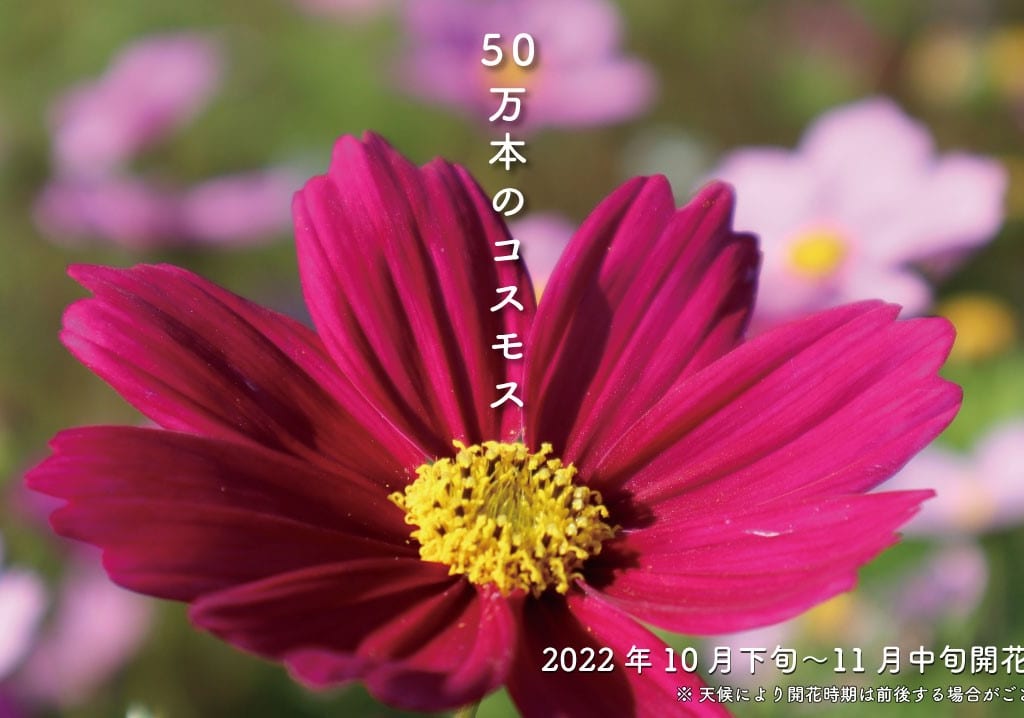 プレスリリースより